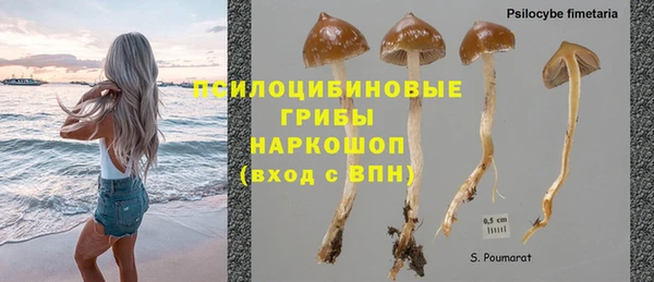 apvp Елабуга