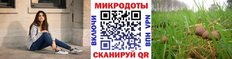 Псилоцибиновые грибы Psilocybe  Купить  Южно-Сухокумск 